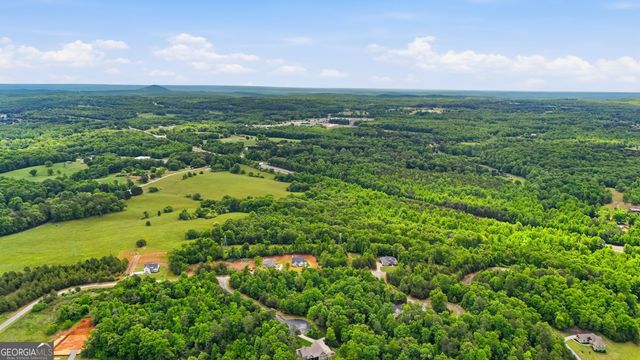 1206 Indigo Court, Demorest, GA 30535