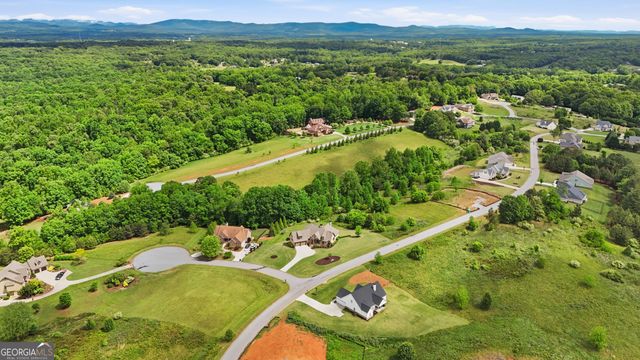 1206 Indigo Court, Demorest, GA 30535