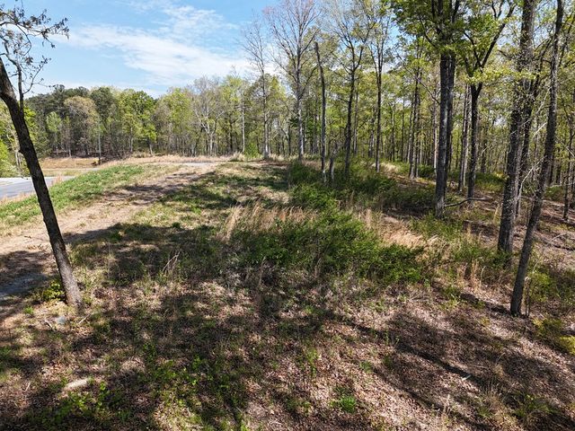 Lot 20 Blalock Mountain Road, Ellijay, GA 30540