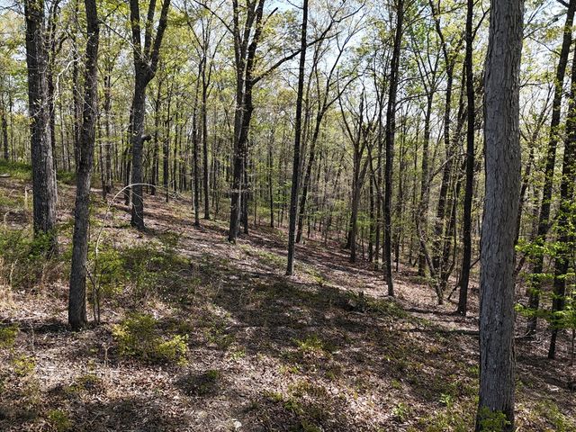 Lot 20 Blalock Mountain Road, Ellijay, GA 30540