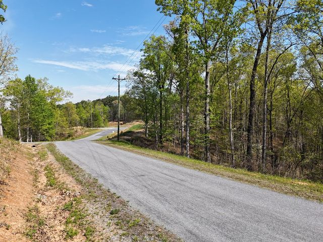 Lot 20 Blalock Mountain Road, Ellijay, GA 30540