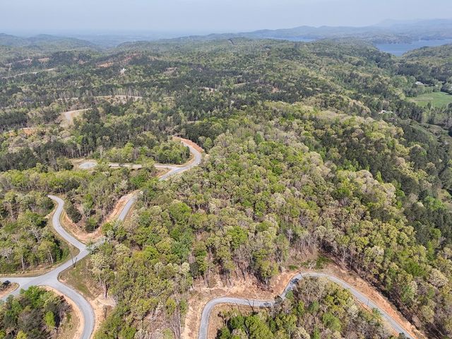 Lot 20 Blalock Mountain Road, Ellijay, GA 30540