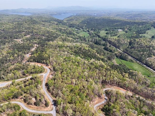 Lot 20 Blalock Mountain Road, Ellijay, GA 30540