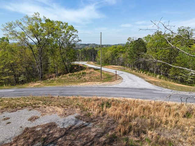 Lot 20 Blalock Mountain Road, Ellijay, GA 30540