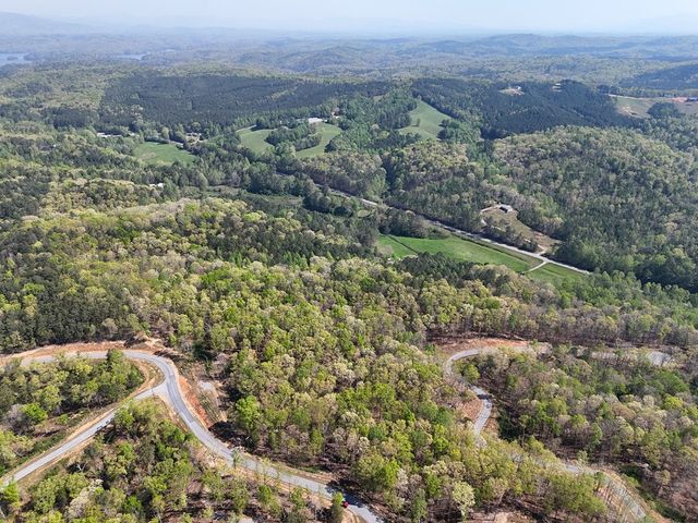 Lot 20 Blalock Mountain Road, Ellijay, GA 30540