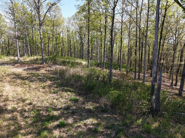 Lot 20 Blalock Mountain Road, Ellijay, GA 30540