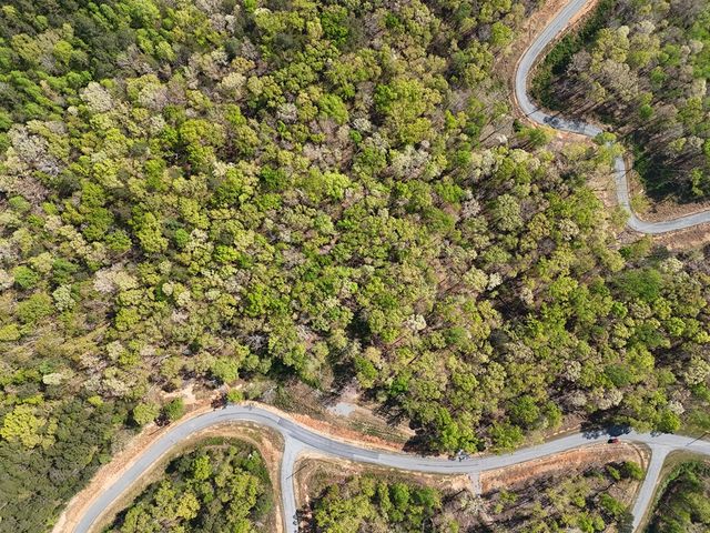 Lot 20 Blalock Mountain Road, Ellijay, GA 30540