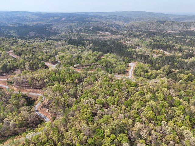 Lot 20 Blalock Mountain Road, Ellijay, GA 30540