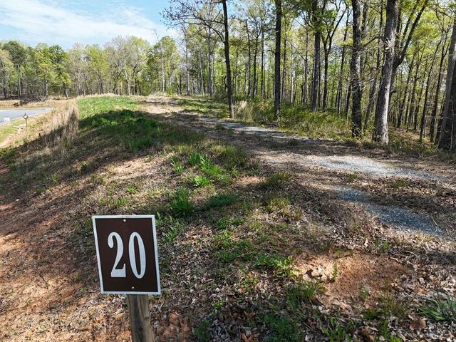 Lot 20 Blalock Mountain Road, Ellijay, GA 30540