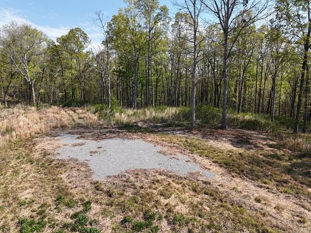 Lot 20 Blalock Mountain Road, Ellijay, GA 30540