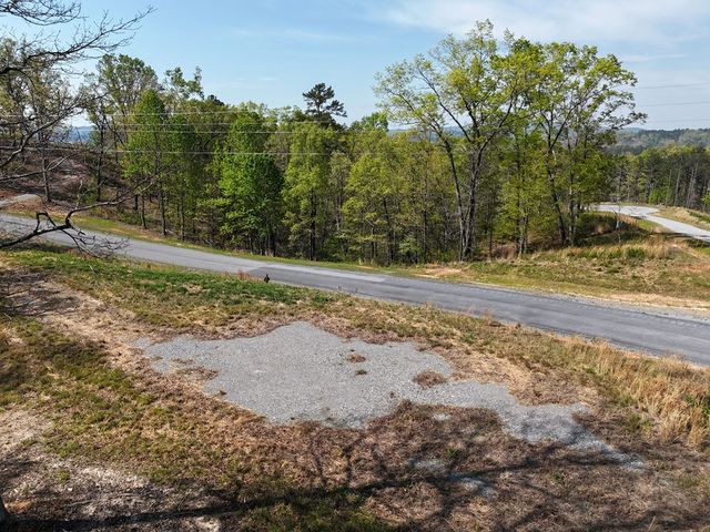 Lot 20 Blalock Mountain Road, Ellijay, GA 30540