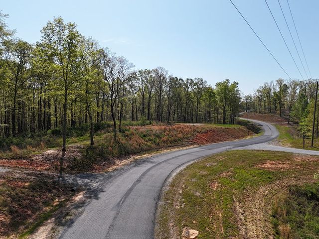 Lot 20 Blalock Mountain Road, Ellijay, GA 30540