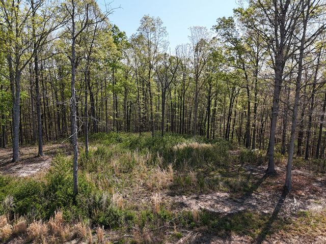 Lot 20 Blalock Mountain Road, Ellijay, GA 30540