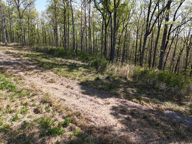 Lot 20 Blalock Mountain Road, Ellijay, GA 30540