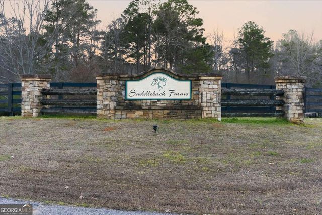 35 Saddleback Farms Drive, Newnan, GA 30263