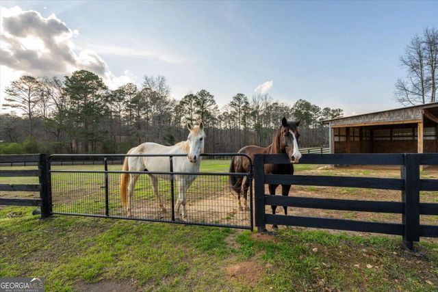 35 Saddleback Farms Drive, Newnan, GA 30263