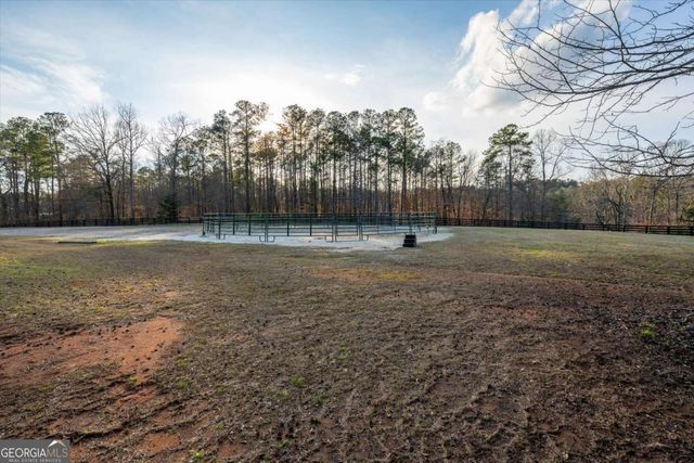 35 Saddleback Farms Drive, Newnan, GA 30263