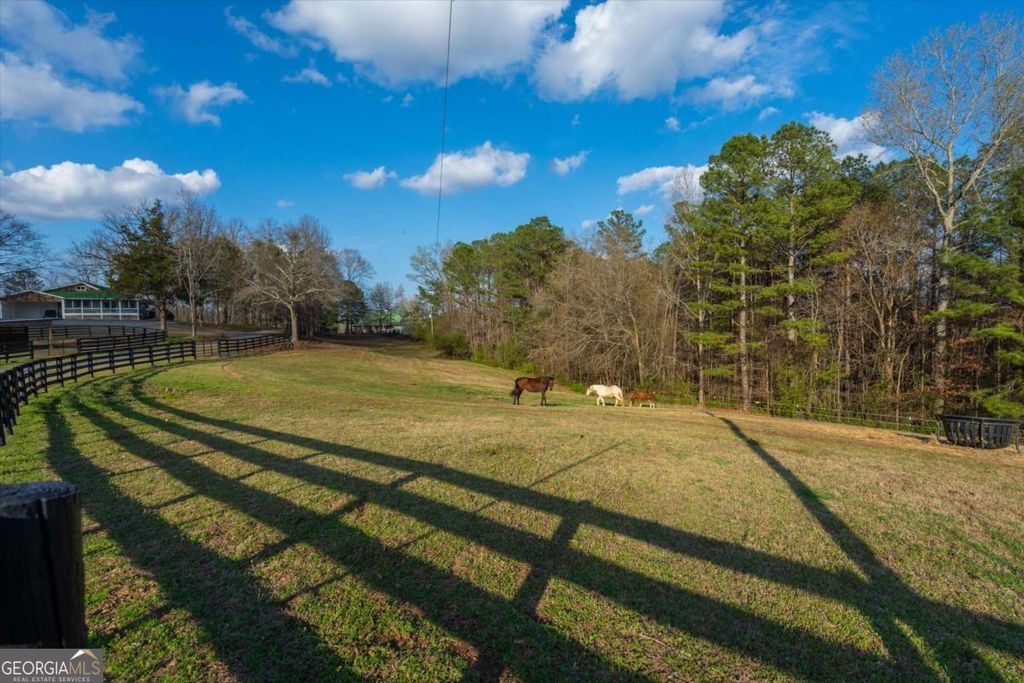 35 Saddleback Farms Drive, Newnan, GA 30263