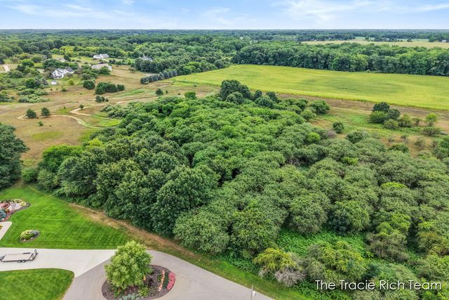 Parcel 3 Tiffany Avenue, Rockford, MI 49341