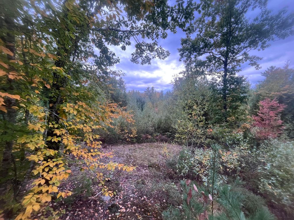 LOT 41 Turtle Trail, Alfred, ME 04002 — exterior
