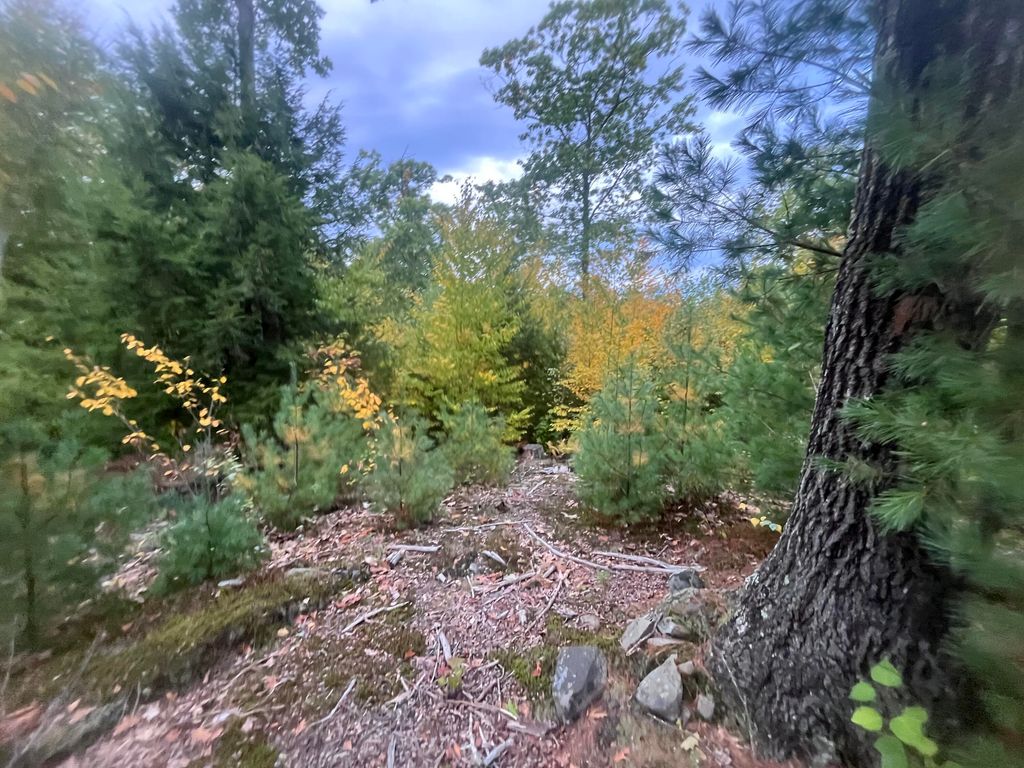 LOT 41 Turtle Trail, Alfred, ME 04002 — photo 2