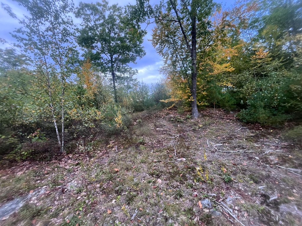 LOT 41 Turtle Trail, Alfred, ME 04002 — photo 3