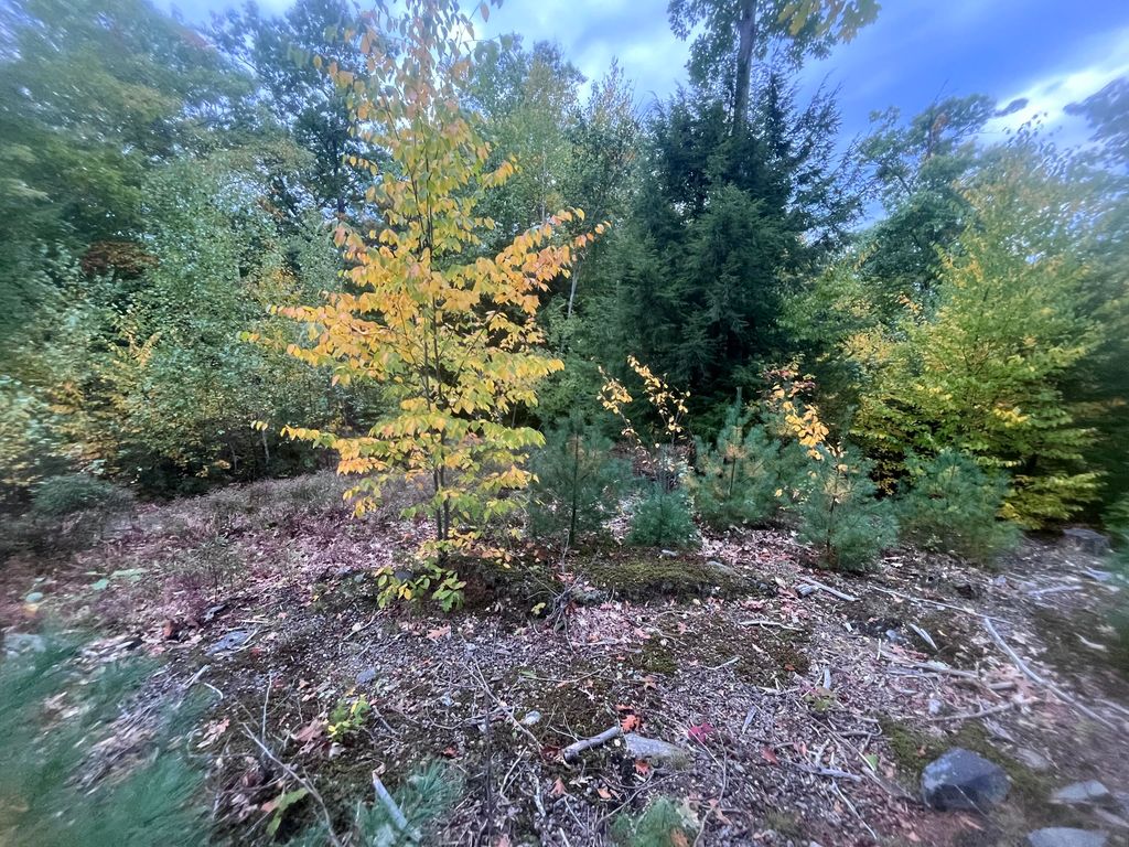 LOT 41 Turtle Trail, Alfred, ME 04002 — photo 4