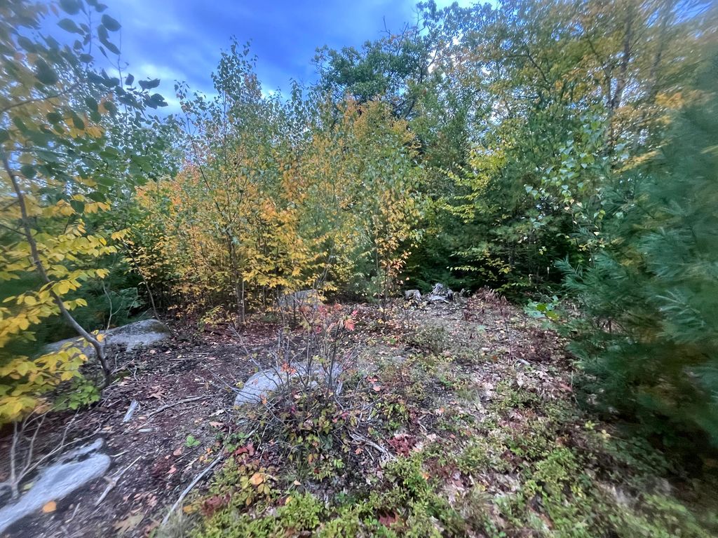 LOT 41 Turtle Trail, Alfred, ME 04002 — photo 5