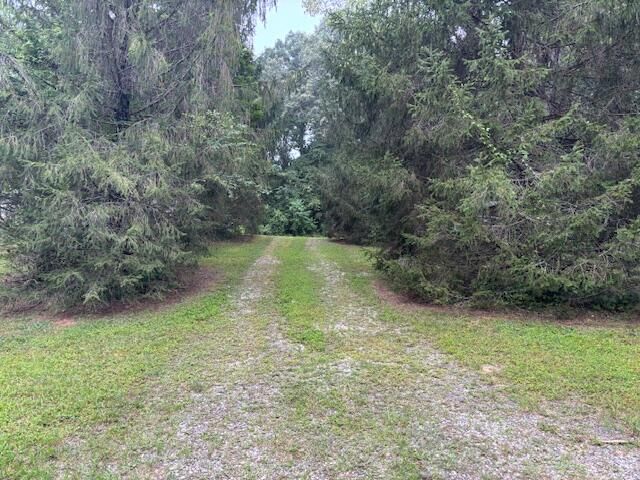 78 Muddy Branch Spur, Pine Knot, KY 42635