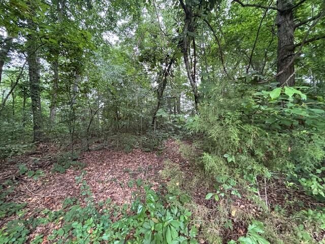78 Muddy Branch Spur, Pine Knot, KY 42635
