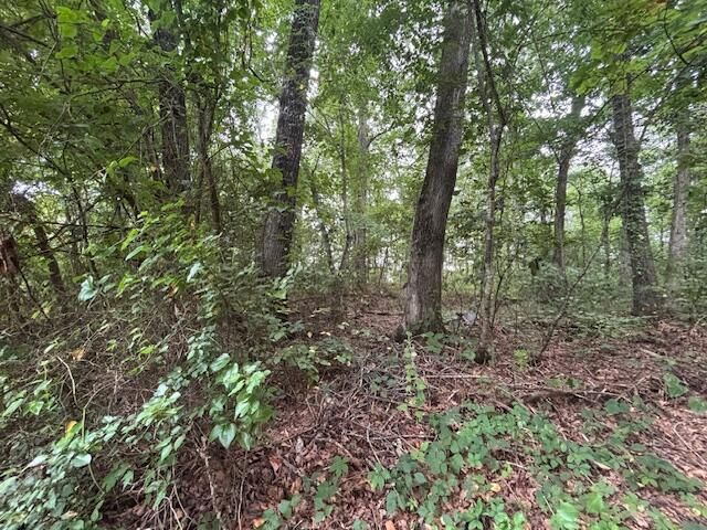 78 Muddy Branch Spur, Pine Knot, KY 42635