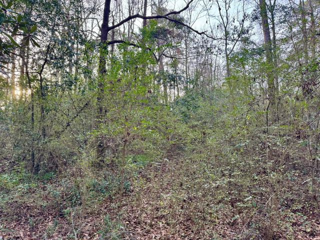 370 Johnson Street, Woodville, TX 75979