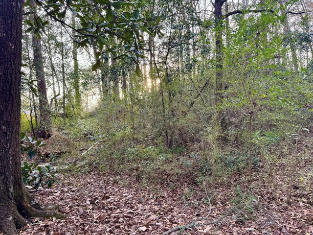 370 Johnson Street, Woodville, TX 75979