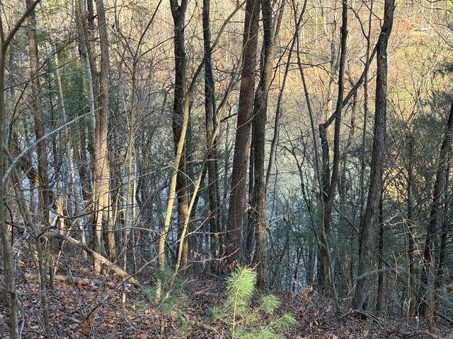 L81 Lillie Drive, Ellijay, GA 30540