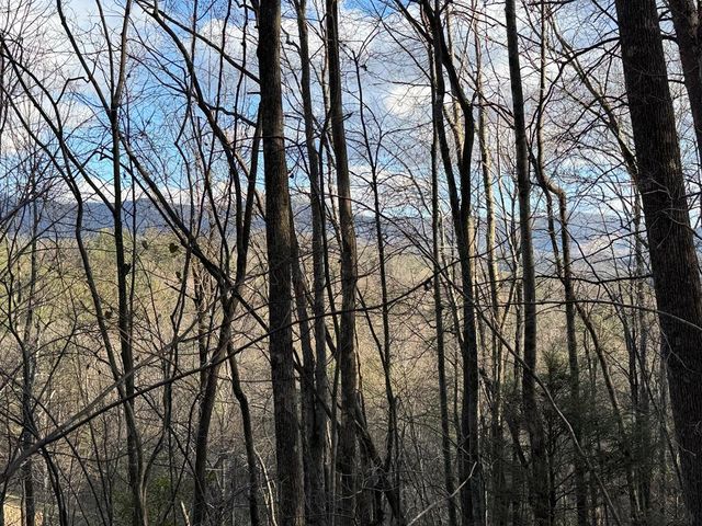 L81 Lillie Drive, Ellijay, GA 30540