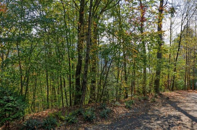 L81 Lillie Drive, Ellijay, GA 30540