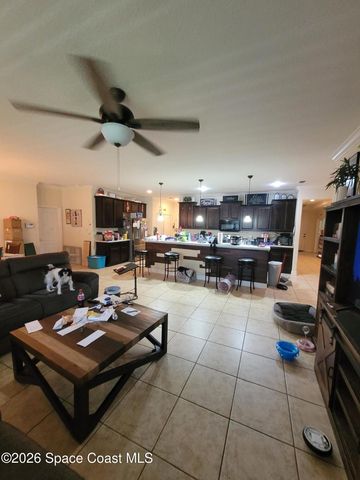 557 L M Davey Lane, Titusville, FL 32780
