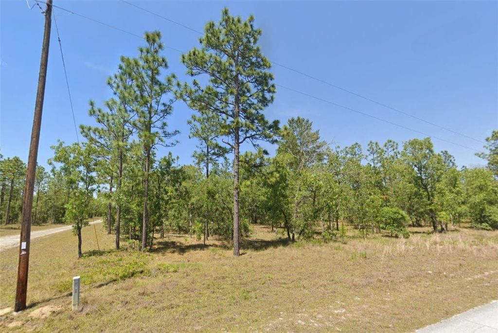 Lot 31 SE 133RD, Dunnellon, FL 34431