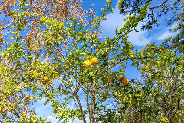 8547 SW 106TH STREET, Ocala, FL 34481