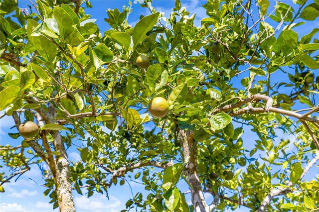 8547 SW 106TH STREET, Ocala, FL 34481