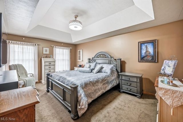 52 Lakhani Lane, Canfield, OH 44406