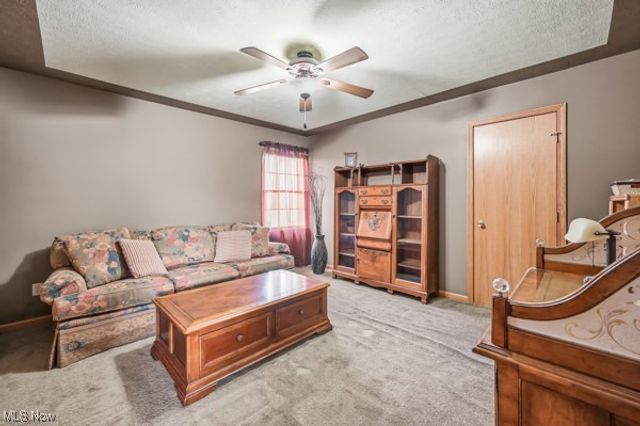 52 Lakhani Lane, Canfield, OH 44406