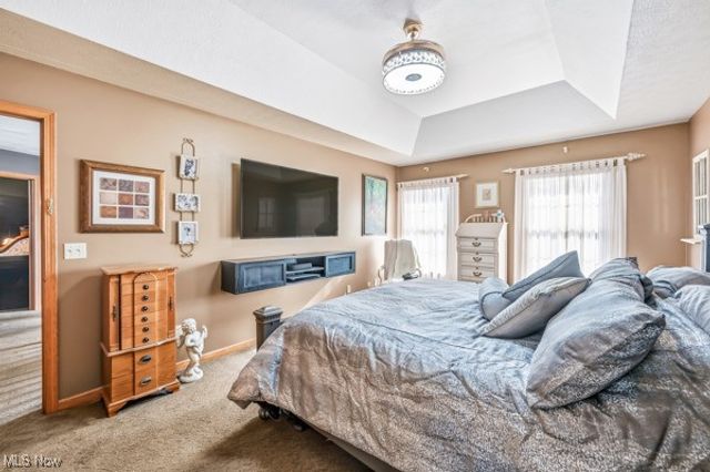 52 Lakhani Lane, Canfield, OH 44406