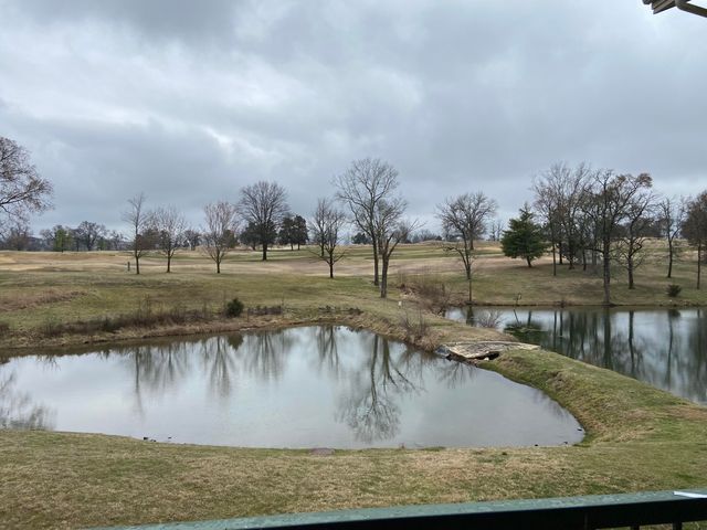 170 W Rockford Drive 5, Branson, MO 65616