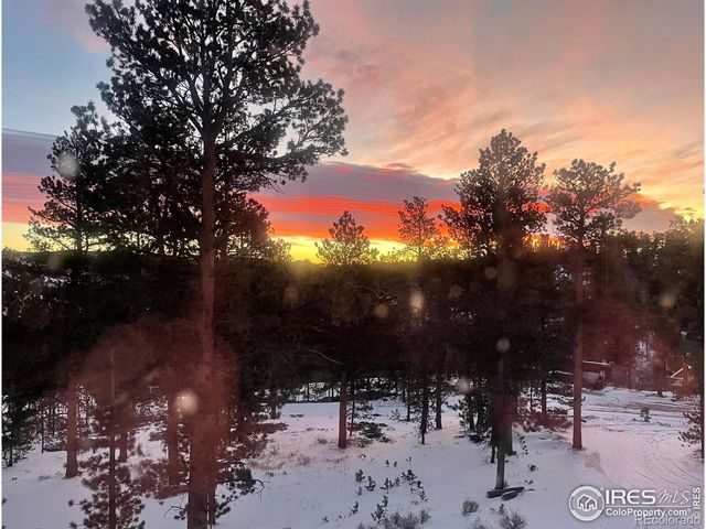 106 Beartrap Road, Red Feather Lakes, CO 80545