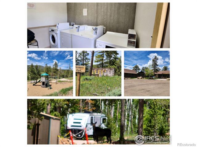 106 Beartrap Road, Red Feather Lakes, CO 80545