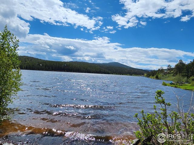 106 Beartrap Road, Red Feather Lakes, CO 80545