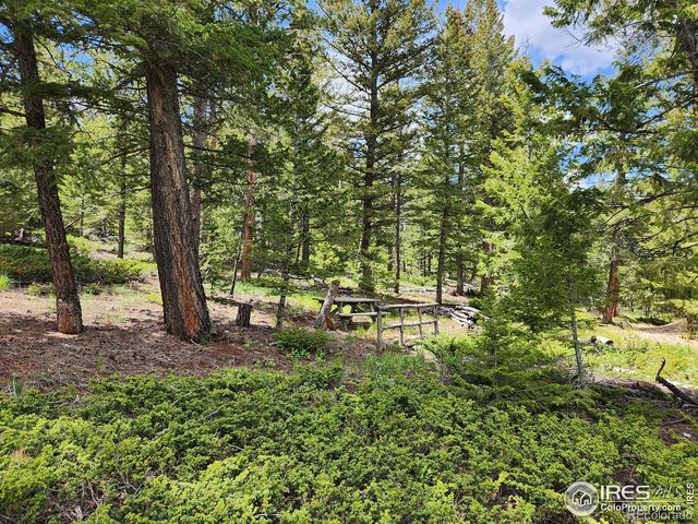 106 Beartrap Road, Red Feather Lakes, CO 80545