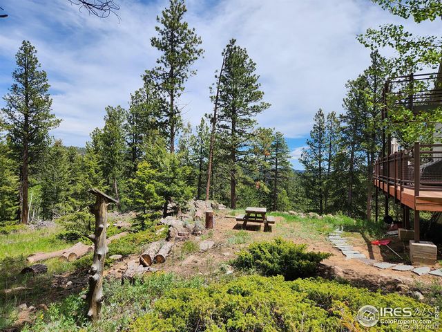 106 Beartrap Road, Red Feather Lakes, CO 80545