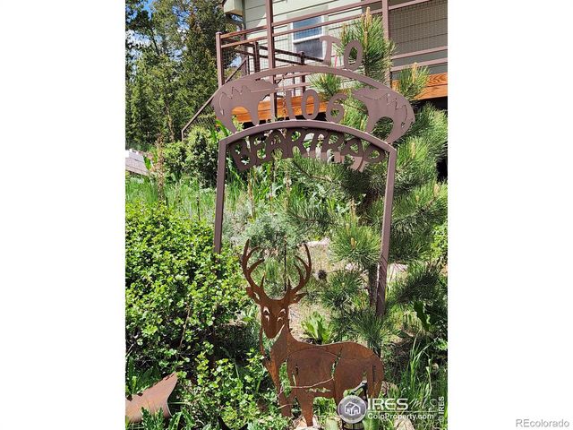 106 Beartrap Road, Red Feather Lakes, CO 80545